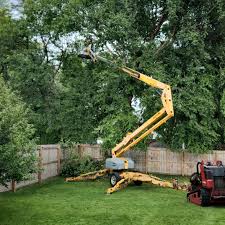 Lawn Watering Services in Salunga, PA