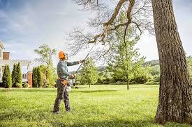 Best Lawn Pest Prevention  in Salunga, PA