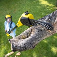 Best Mulching Services  in Salunga, PA